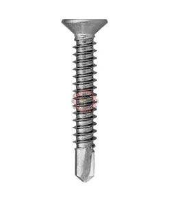 Alternative view of Vis autoperceuse TFP DIN7504