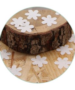 Confettis en papier ensemencé x 100