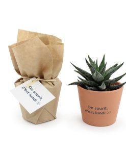 Alternative view of Mini plante publicitaire